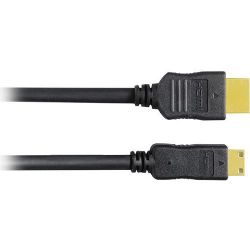 Panasonic HDMI-HDMI Mini Cable (9.6')